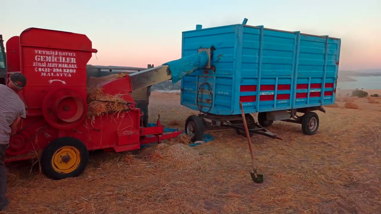 Kırmızı mercimek patozu. 3.085 Massey Ferguson