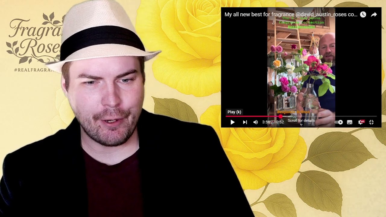 Reacting to Gardener Ben’s Best Fragrant Roses 🌹 | Do They Really Smell the Best?