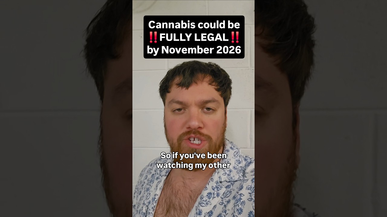 Каннабис может быть полностью легализован.