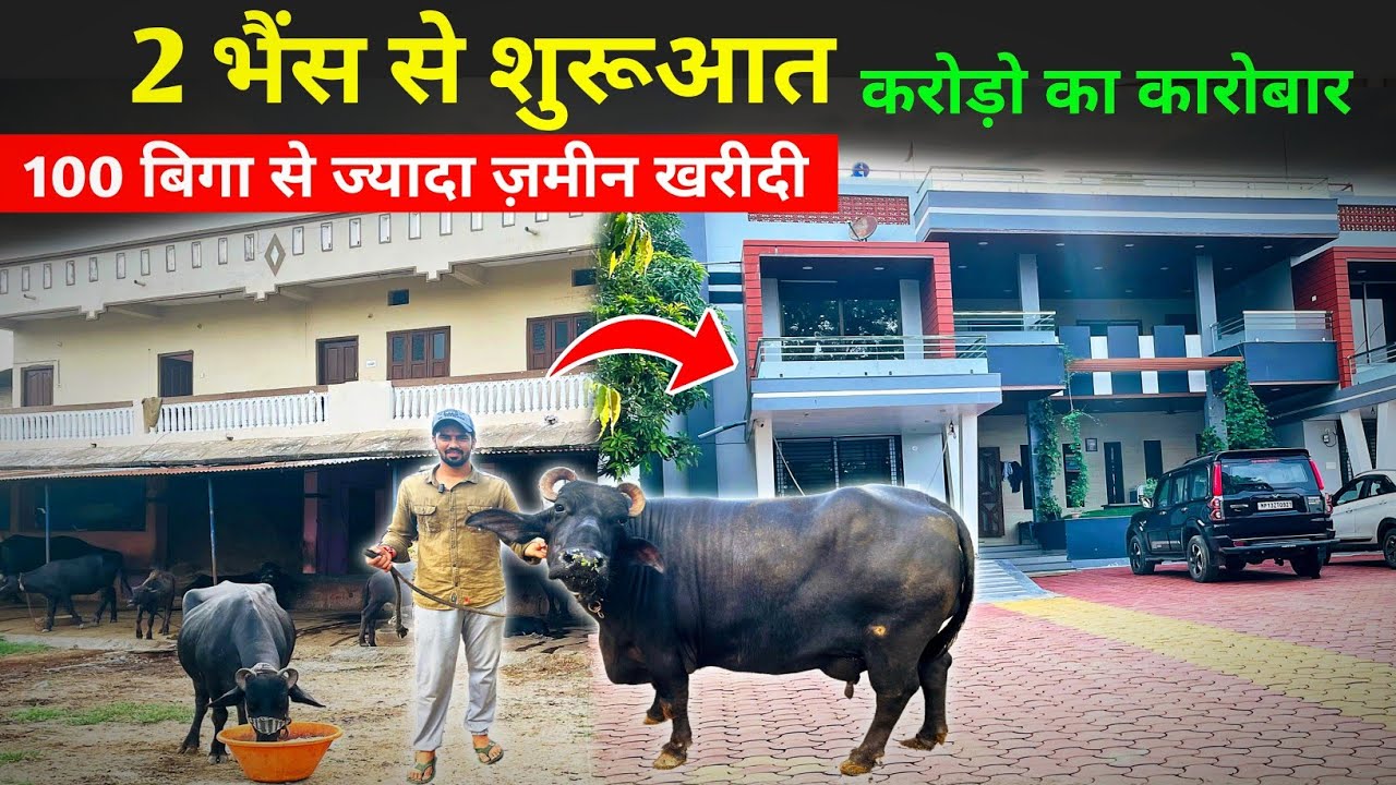 2 भैंस से शुरुआत - Earning in Cr🔥|100 बीघा जमीन खरीदी 😱| Dairy Farm success story |Kisan se bharat