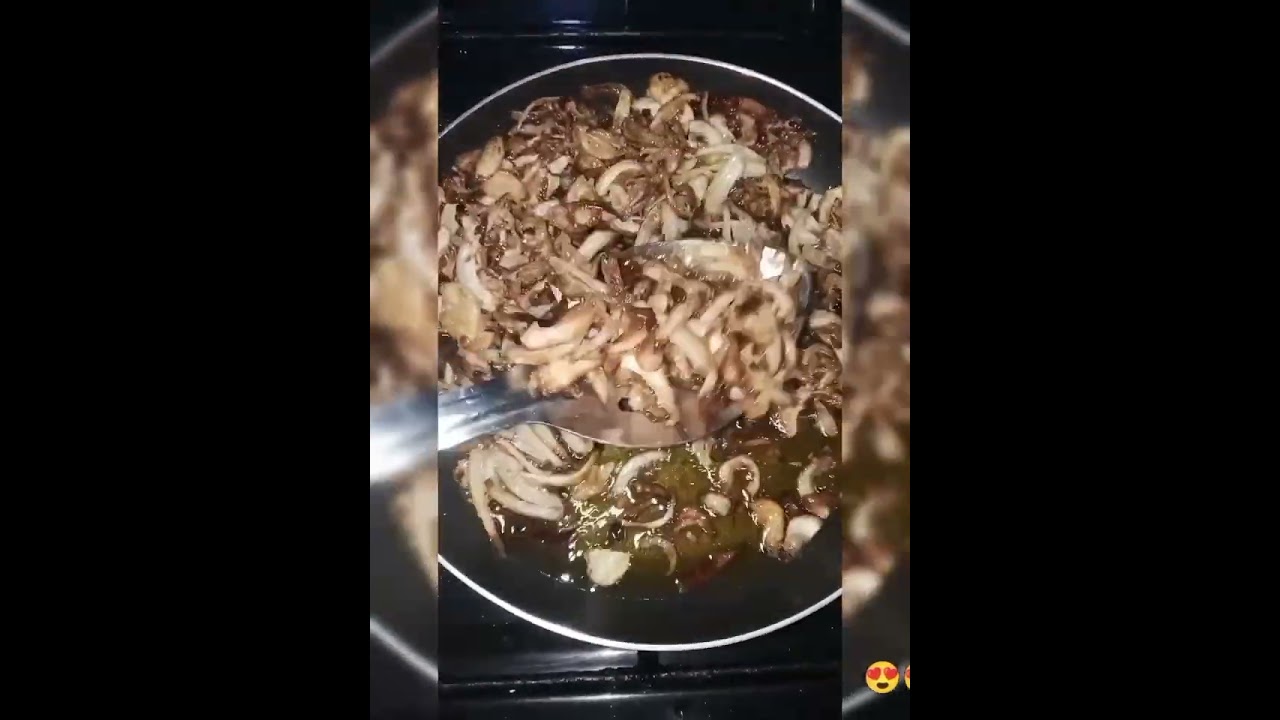 ٨ يناير ٢٠٢٦