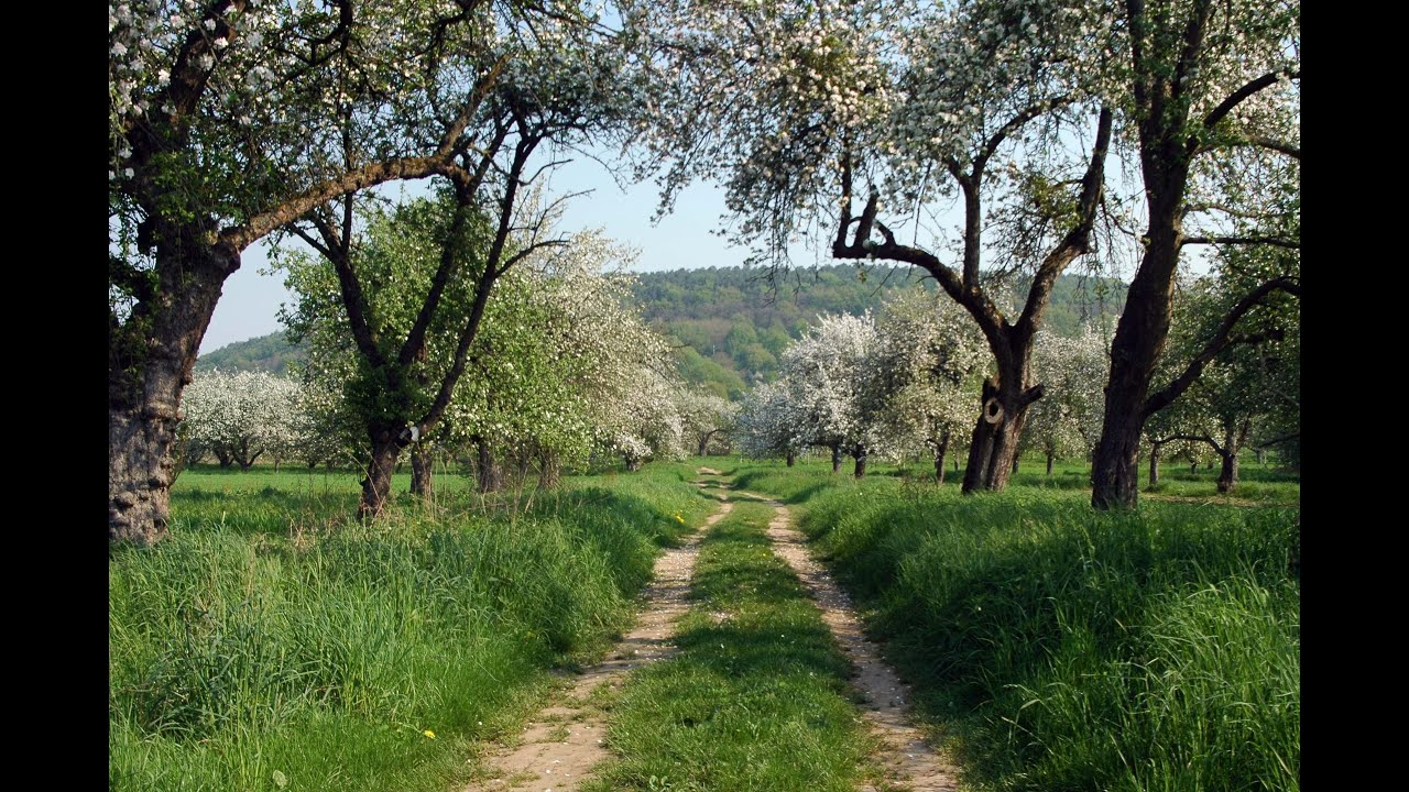 Fahrt Kleinwallstadt nach Elsenfeld Einkaufsm&auml;rkte