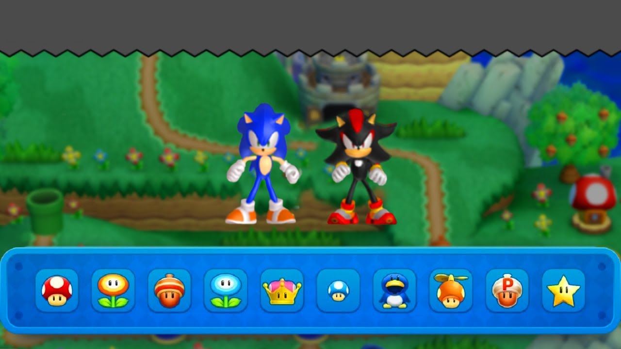 Playable Sonic & Shadow in New Super Mario Bros. U Deluxe