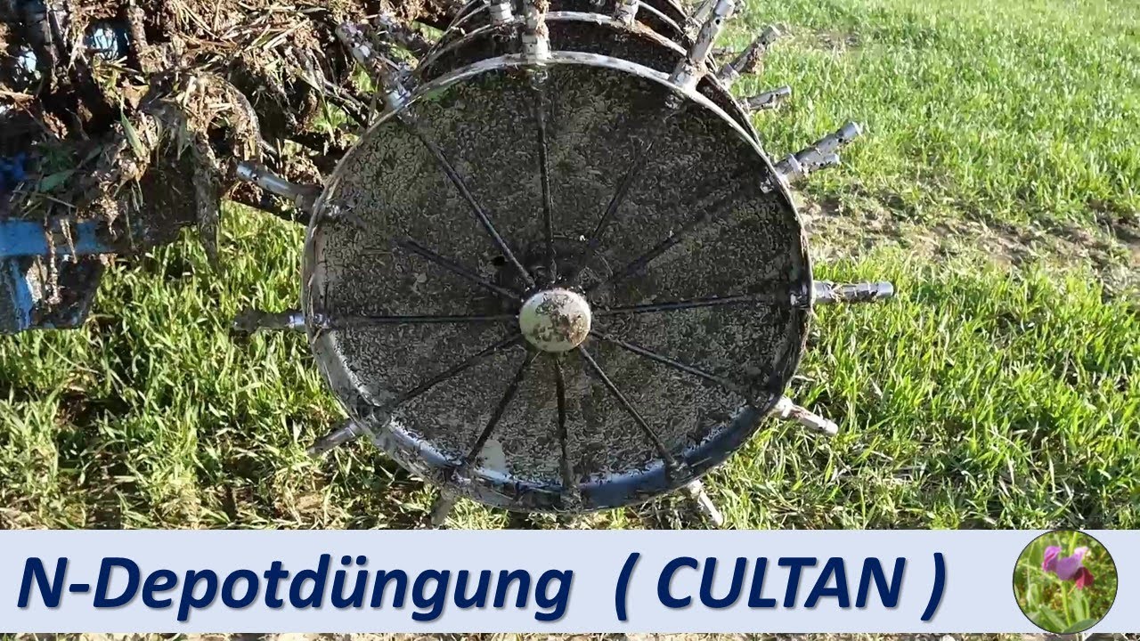 Gr&uuml;nde f&uuml;r die N-Depotd&uuml;ngung (CULTAN)