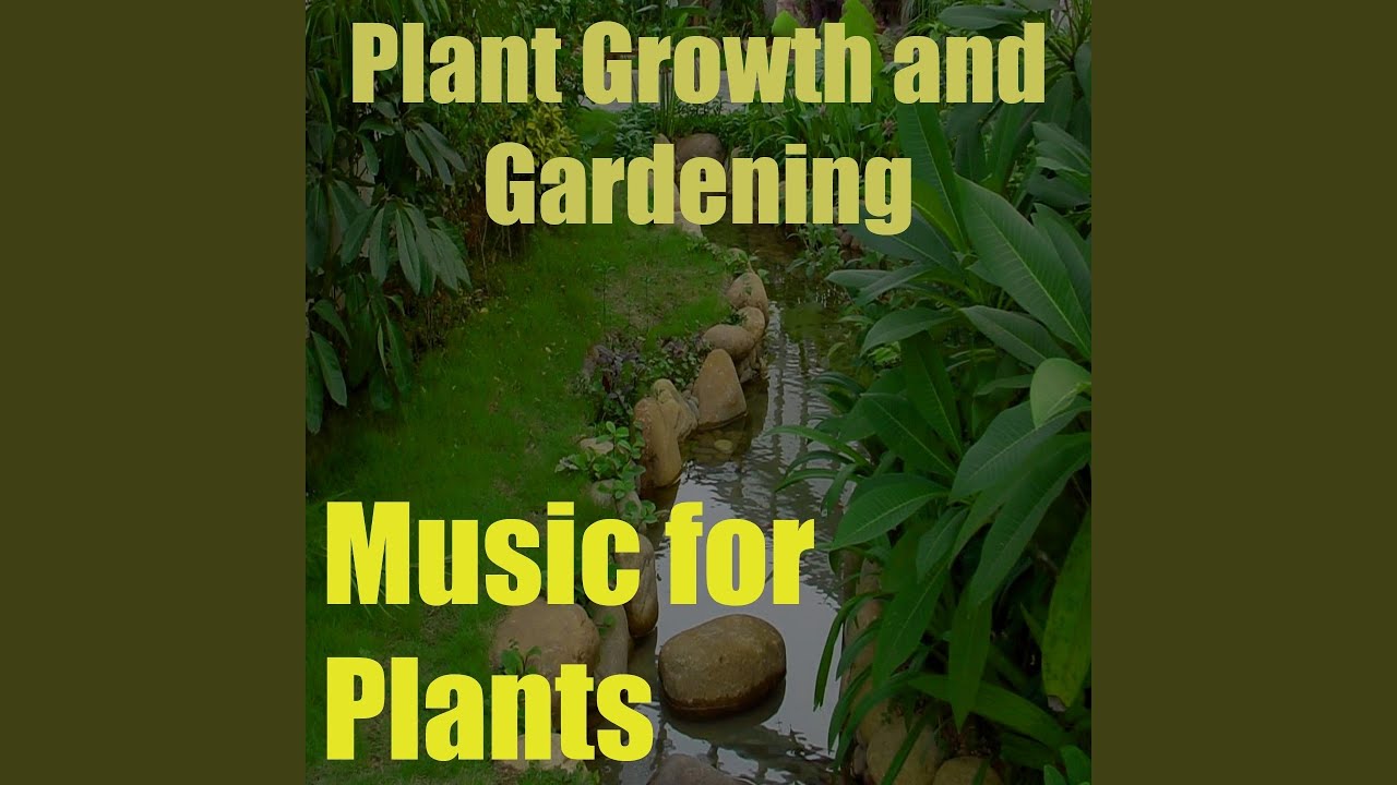 Music for Plants, Vol. 4 (Plant Growth and Gardening)