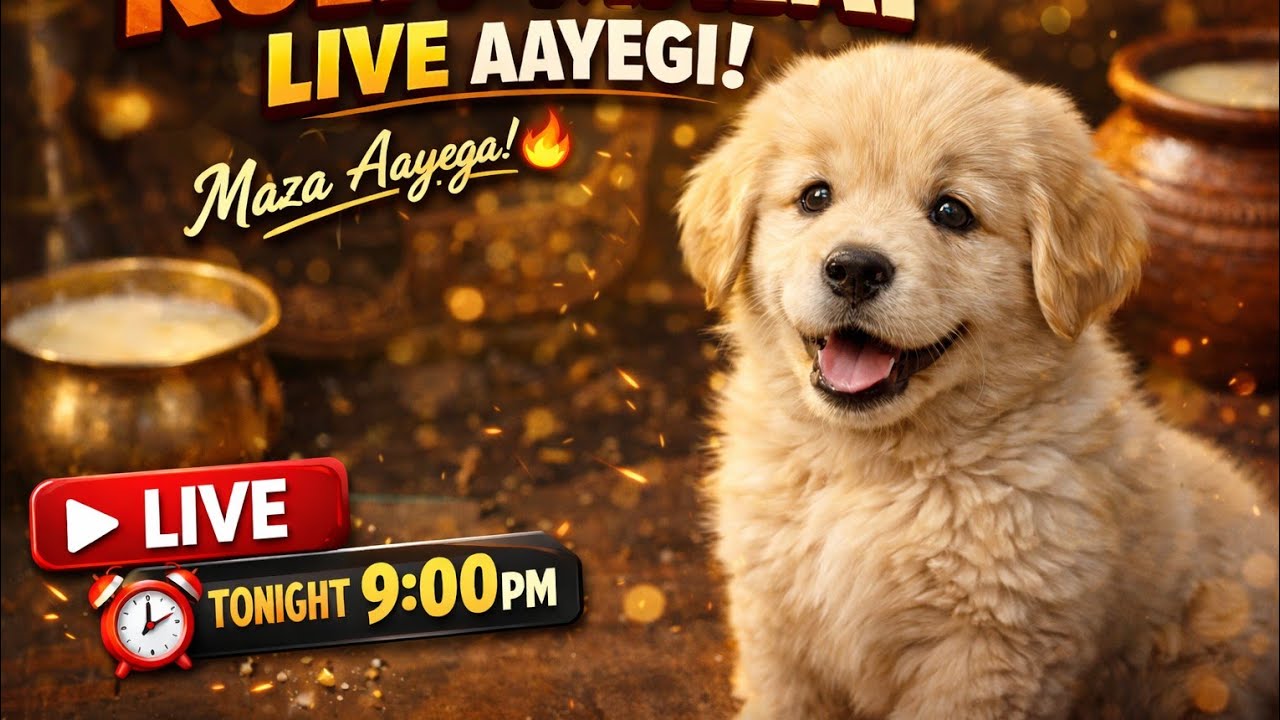 Kulfi Malai 🐶 LIVE | Puppy Masti & Cute Moments | Ranjit Vlogs