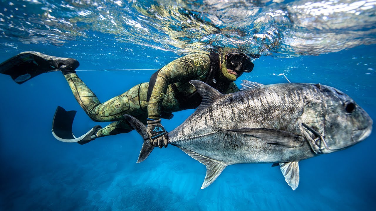I FINALLY SPEARED MY DREAM FISH!!! (104FT DIVE)