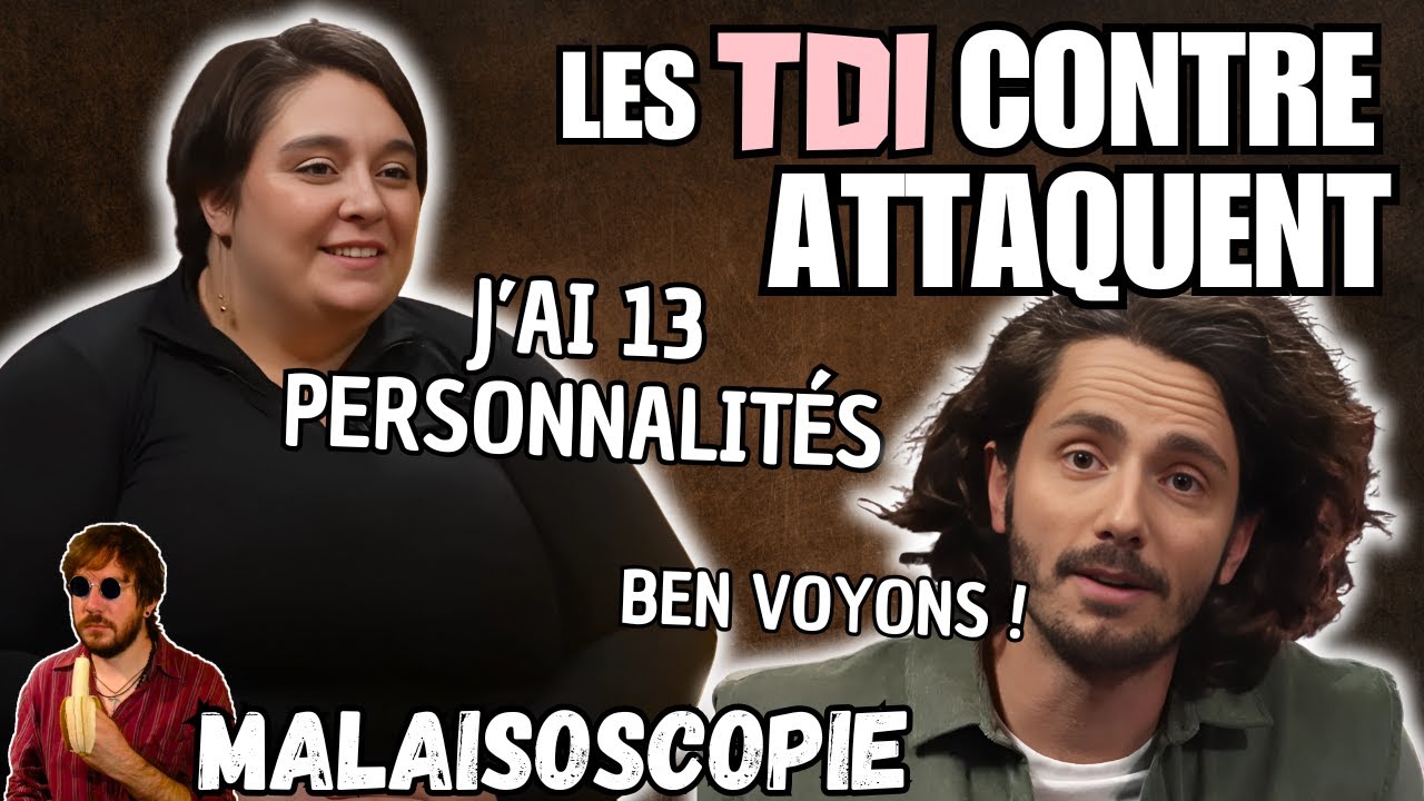 Je dézingue la TDI de Guillaume Pley tous azimuts (dans le respect)