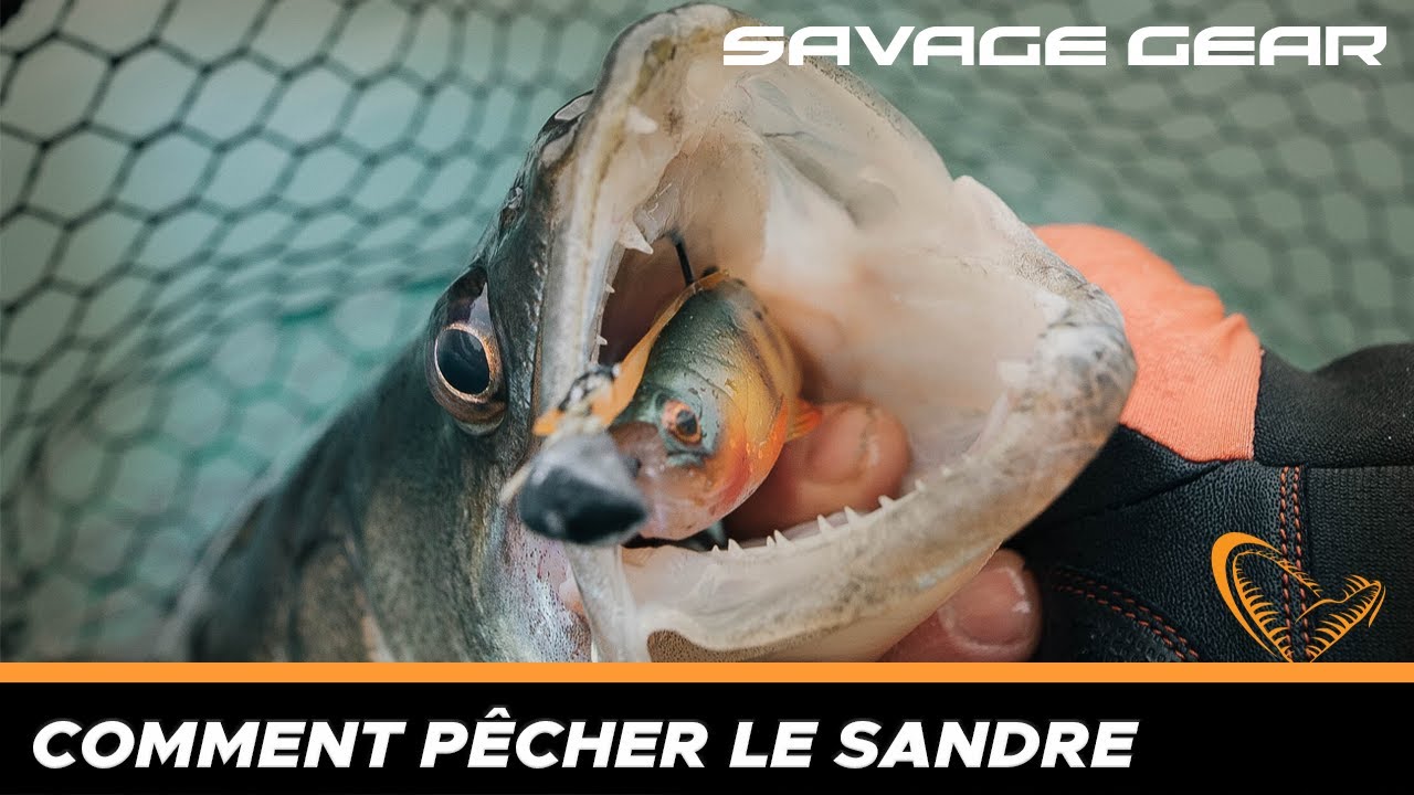 La pêche du sandre avec Savage Gear (verticale, drop shot, blades, linéaire)