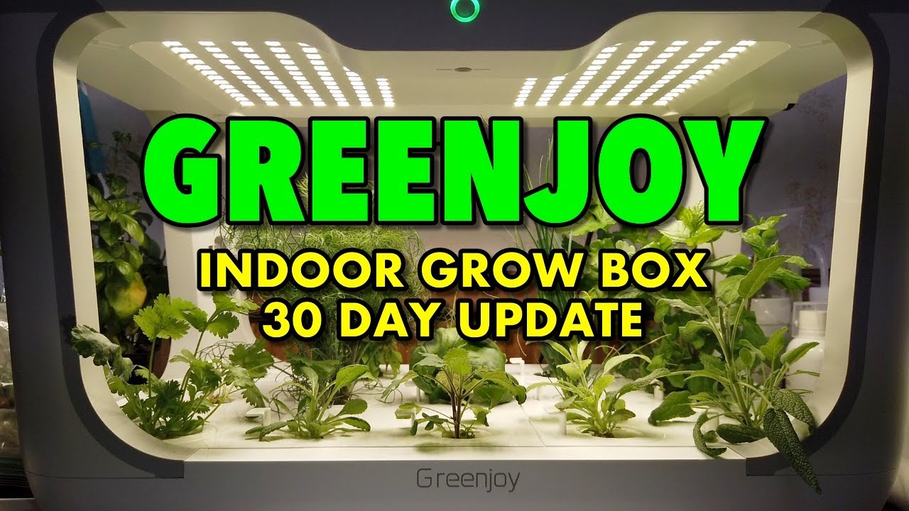 Greenjoy hydroponic indoor grow box - 30 day update