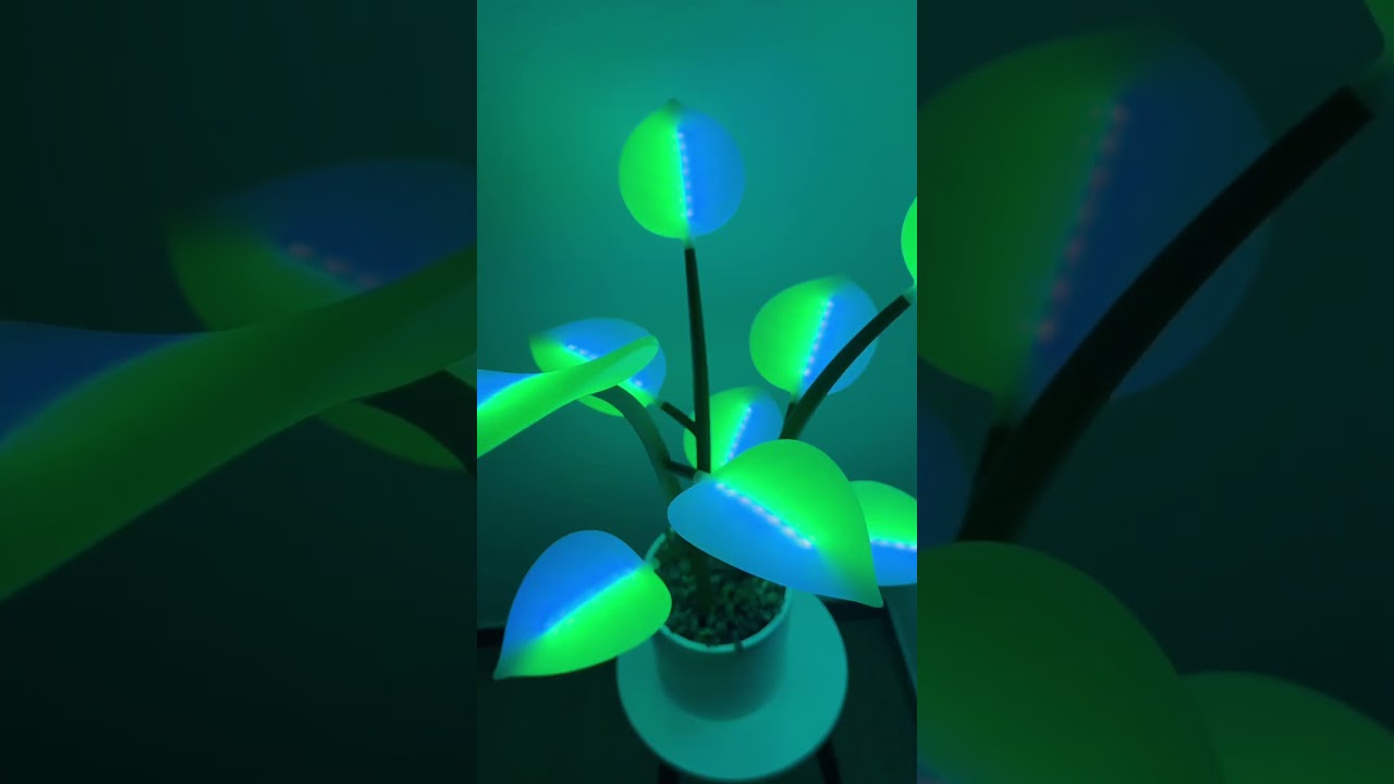 Fluora dancing to Bicep #audio #homedecor #lighting #edm #design