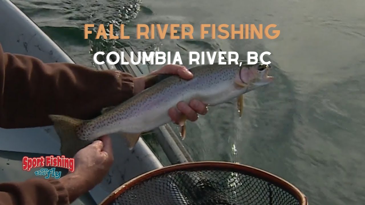 FLY FISHING: FALL on the COLUMBIA River, BC
