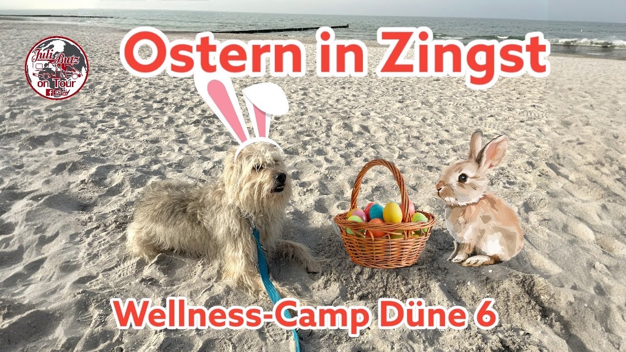 Zingst,zwischen Bodden und Ostsee, Wellness Camp Düne 6 #ostsee #camping #wellness