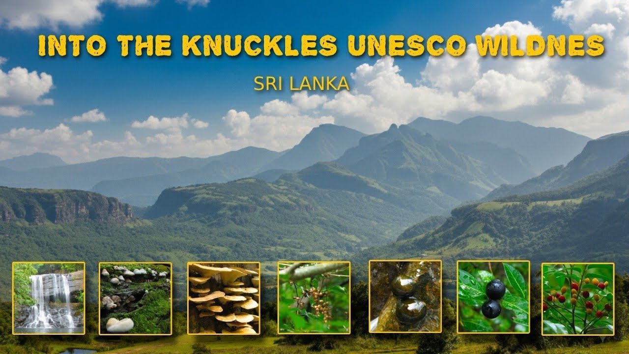 Into the Knuckles | Sri Lanka&rsquo;s Hidden Mountain Paradise 🇱🇰 #viral #knucles 