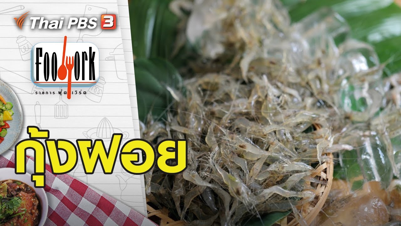 กุ้งฝอย : Foodwork