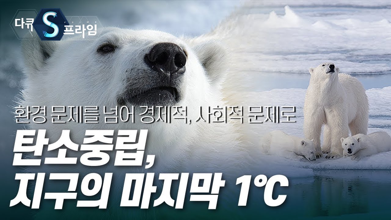 [다큐S프라임] 탄소중립, 지구의 마지막 1℃ / YTN 사이언스