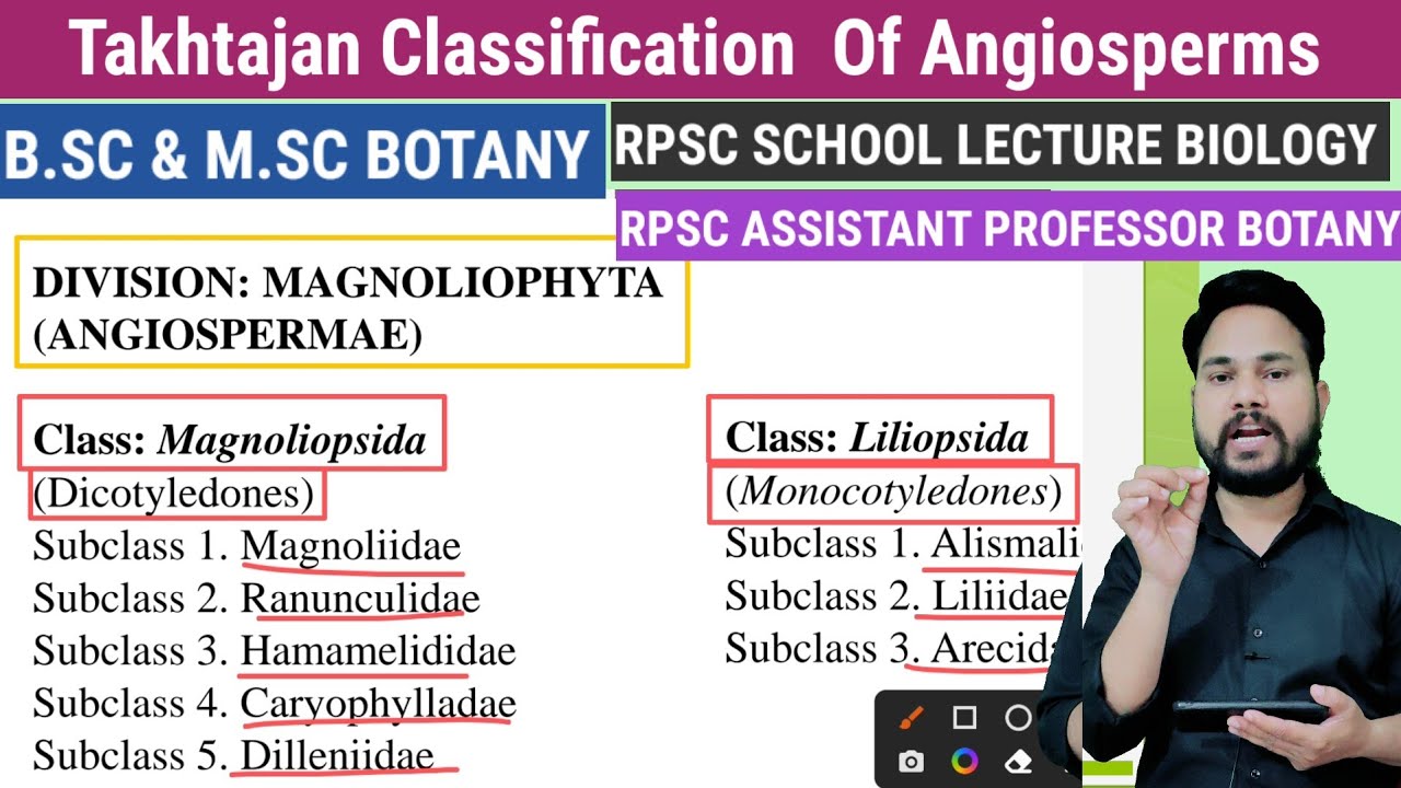 Takhtajan classification of Angiosperms l Phylogenetic Classification l आवृत्तबीजी पद्पो का वर्गीकरण