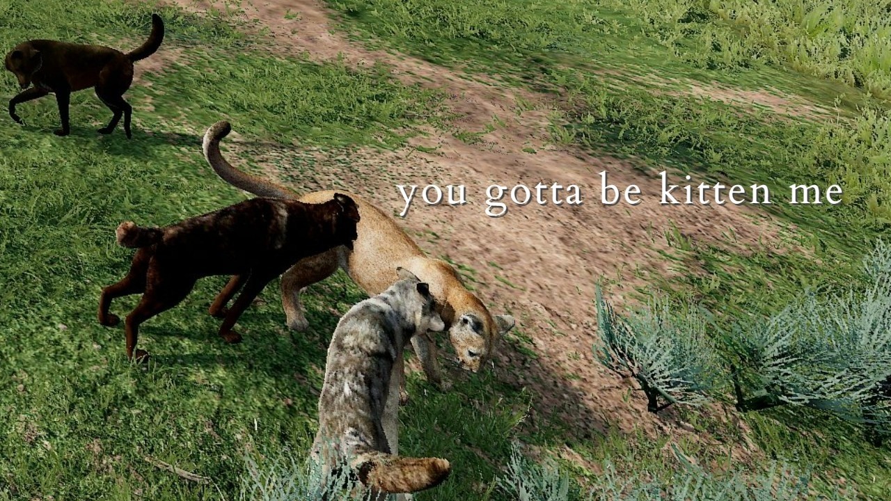 marigold almost gets into a cat-astrophic situation || wolfquest gameplay || marigold #1