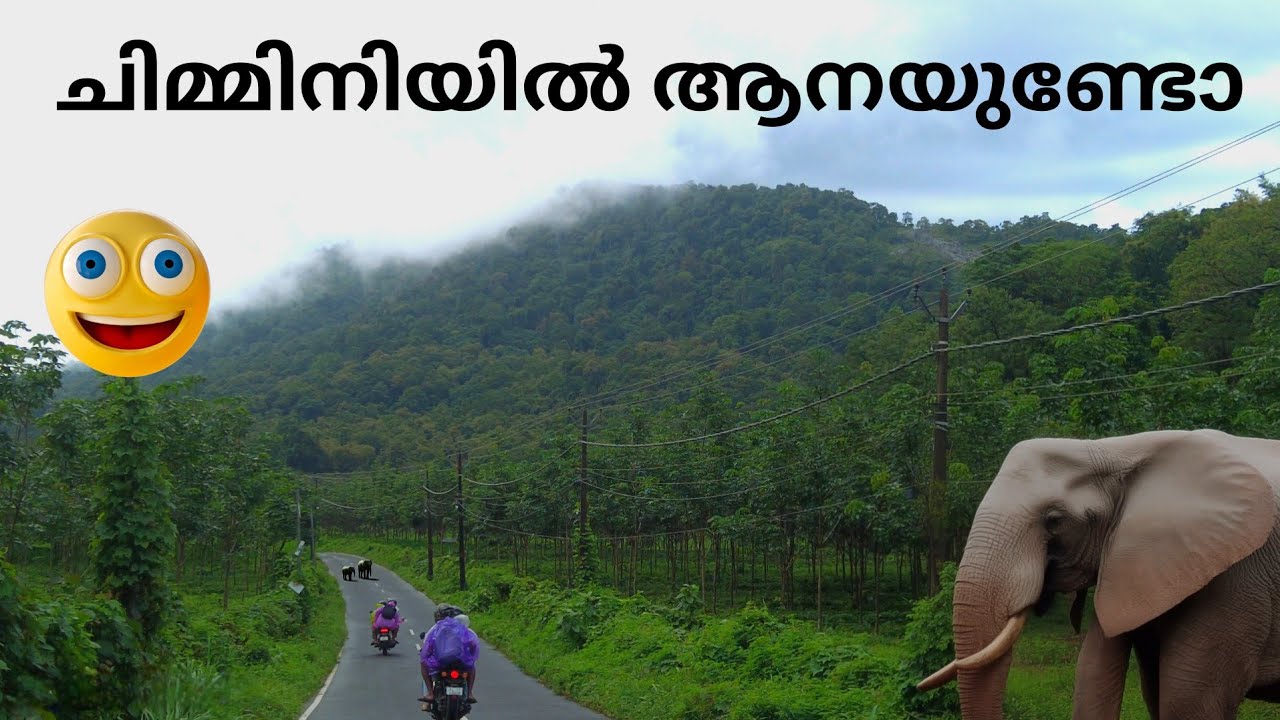 ചിമ്മിനിയിലേക്ക് പോകുമ്പോൾ സൂക്ഷിക്കുക 😱 Chimmini Dam 2025