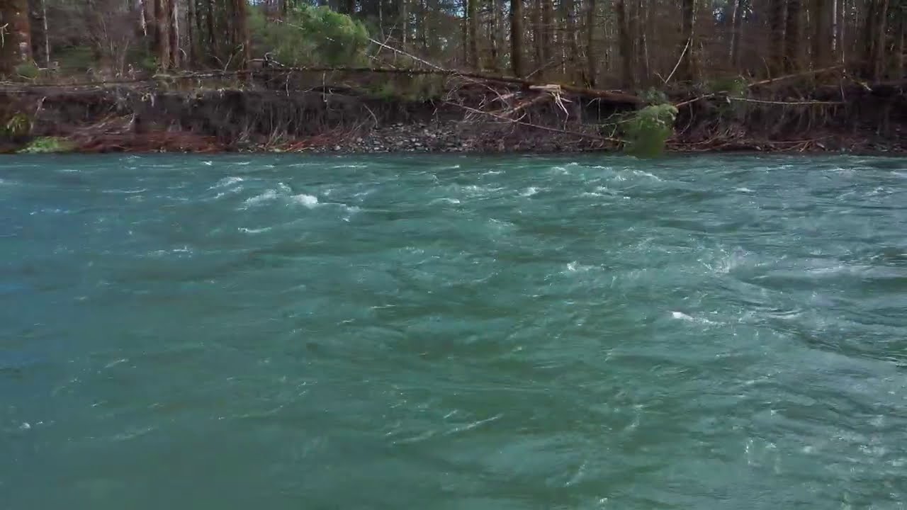 Chrome On The Cowichan