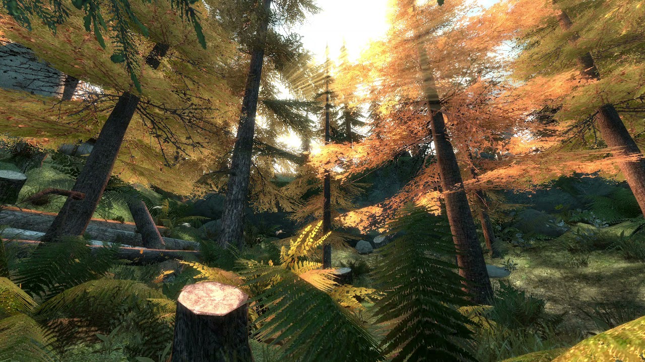Counter Strike Source - De_Forest_HDR - Forest Crickets Ambience