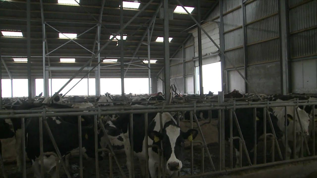 Dit wil boer Richard nog wel even kwijt