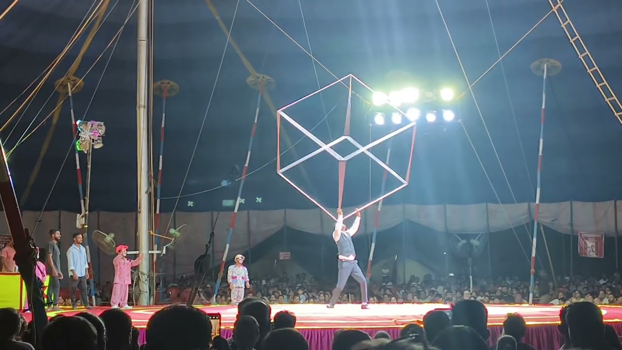 Great golden circus 2025