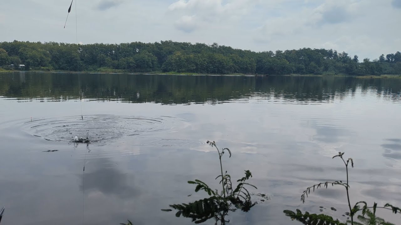 Mancing di Waduk Malahayu di Spot Karacak Nusa Eurih – Ep.34