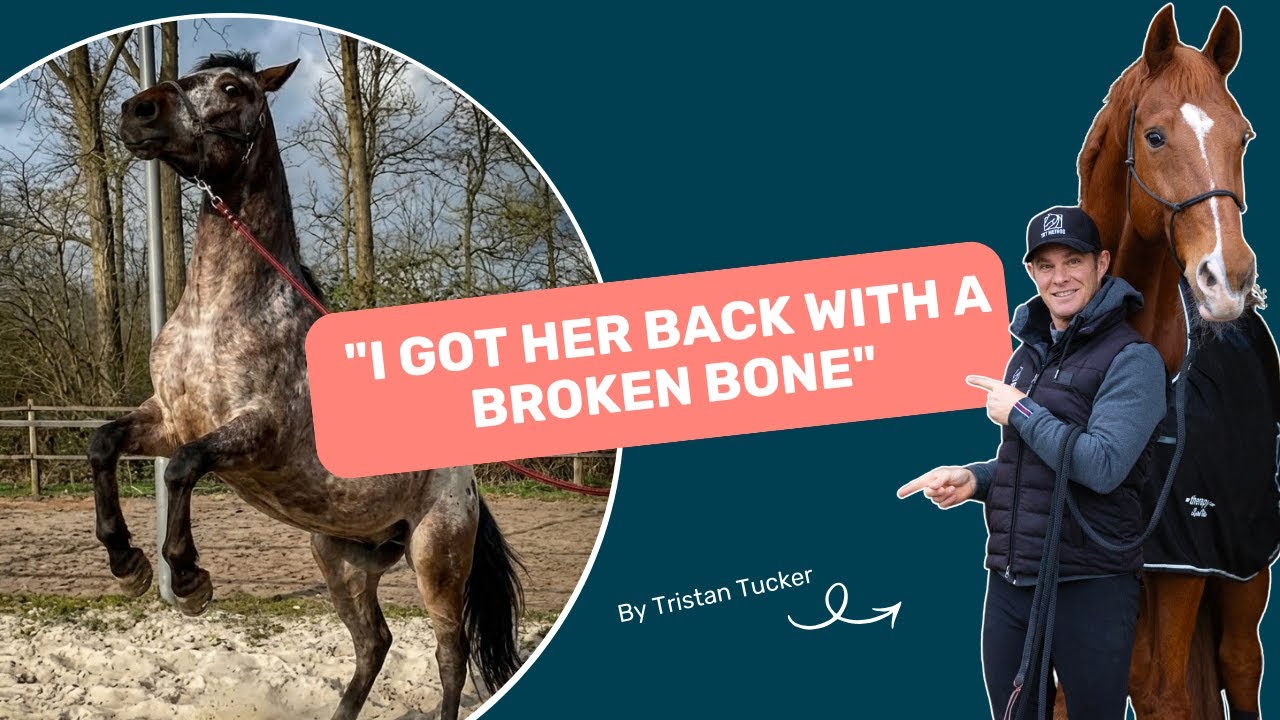 How to overcome fear after a rearing incident? 😨 | Problem Horses Explained | S1E6