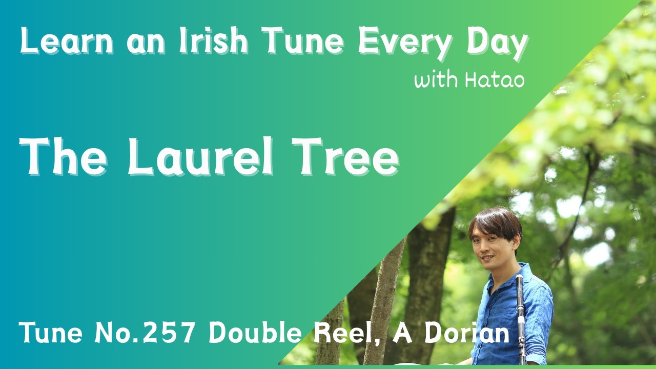 257 The Laurel Tree (Double Reel, A Dorian)