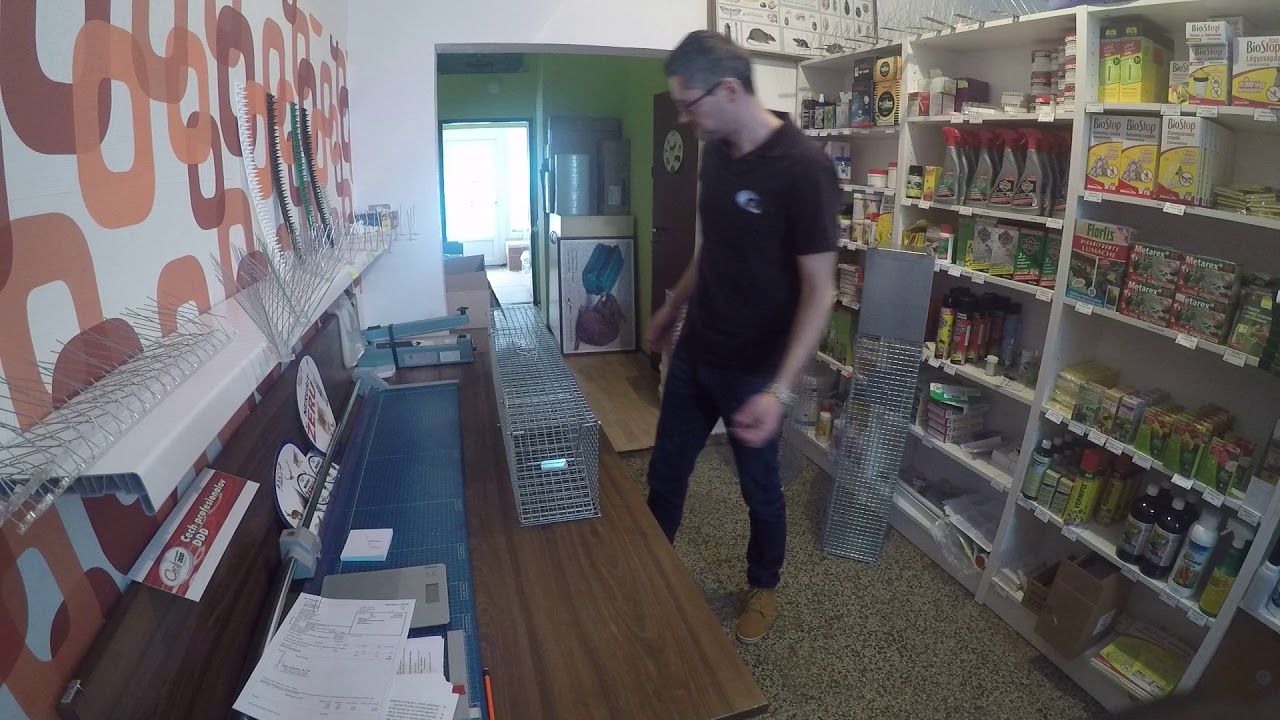 Ako sa zbaviť kuny Za pomoci klietky alebo pasce