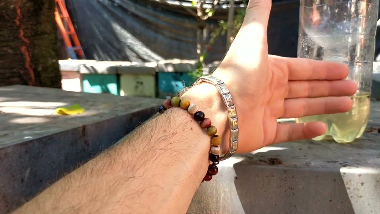 calabroni e vespe...trappola bio a costo zero