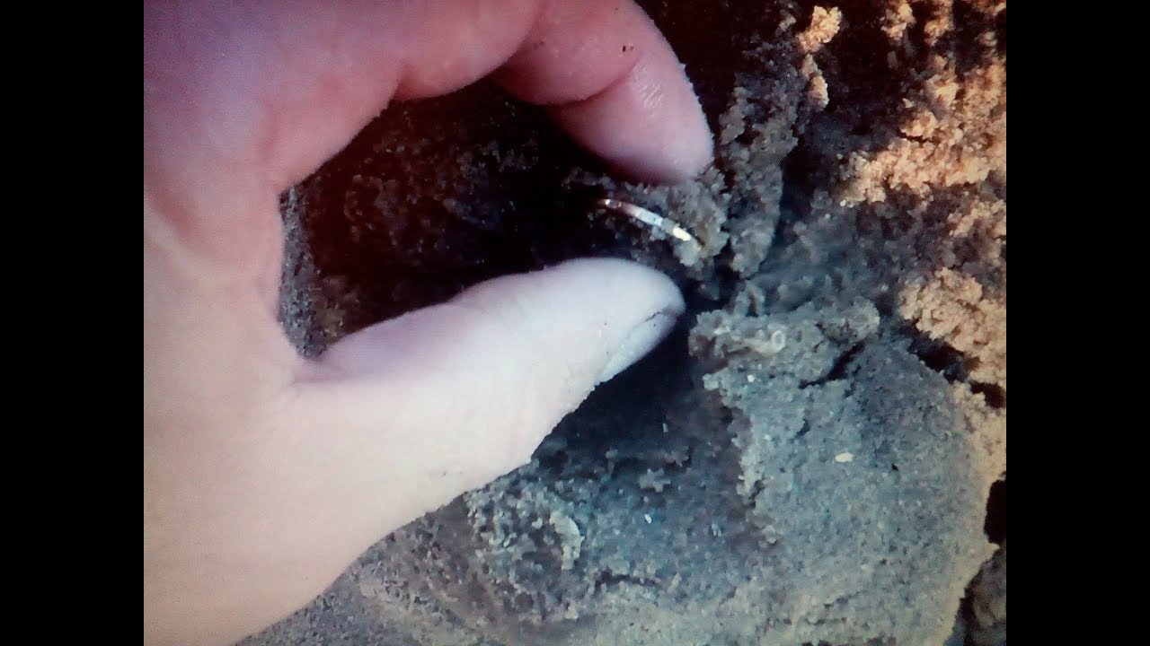 Коп 17/34.ПОДВОДНОЕ ЗОЛОТО!!!!ФАРТ ДА И ТОЛЬКО!!!Minelab CTX -3030.