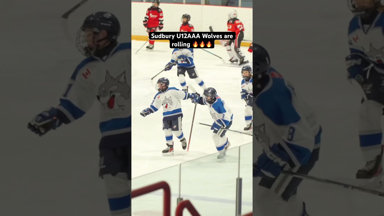 Sudbury Wolves are rolling 🐺🏒 #hockey