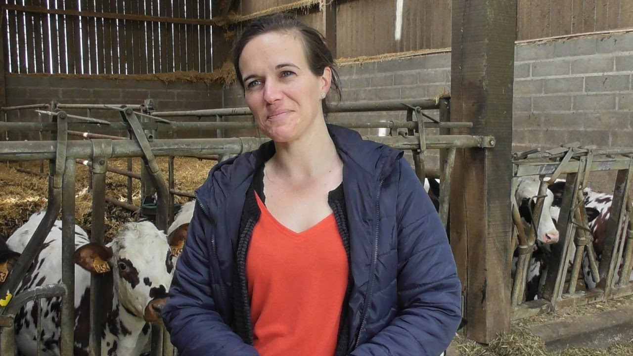 Découvrez le CAPa MA - Métiers de l’Agriculture option Ruminants en apprentissage