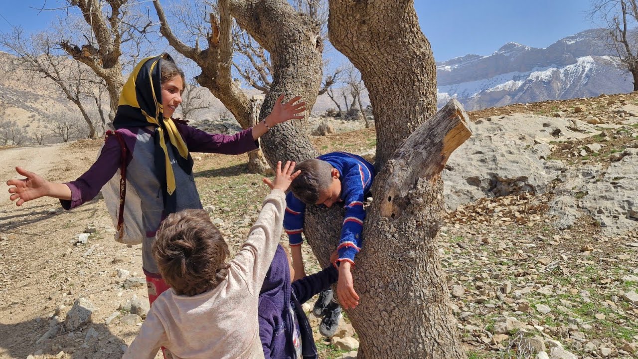 ۲۲ فوریهٔ ۲۰۲۶