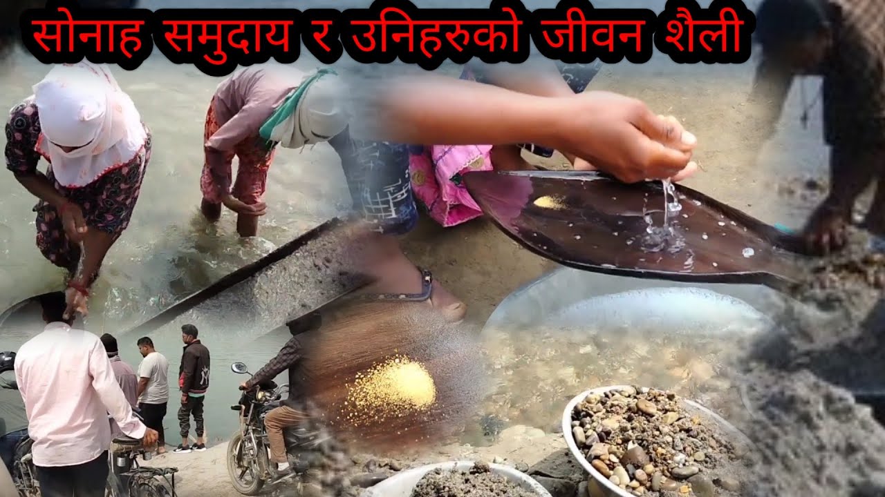 Sonaha people Live-Gold in sand of Bardiya river, Nepal - नेपालकाे बालुवामा सुन पाइन्छ