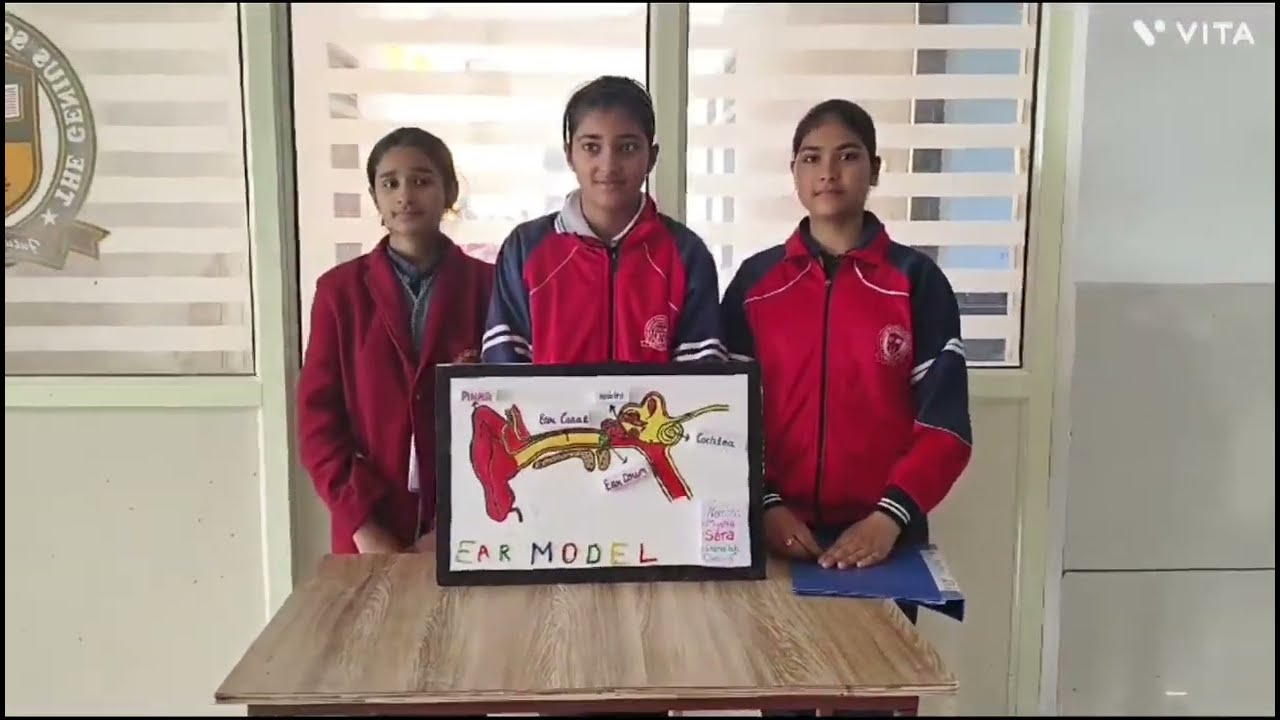 Science Exhibition 2024-25