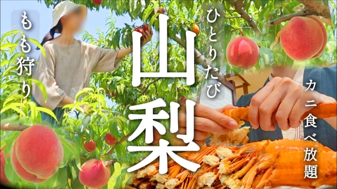 [ひとり旅] 桃狩りにカニ食べ放題を満喫！大好物尽くしの山梨1泊2日ひとり旅〈中込農園〉〈春日居びゅーほてる〉