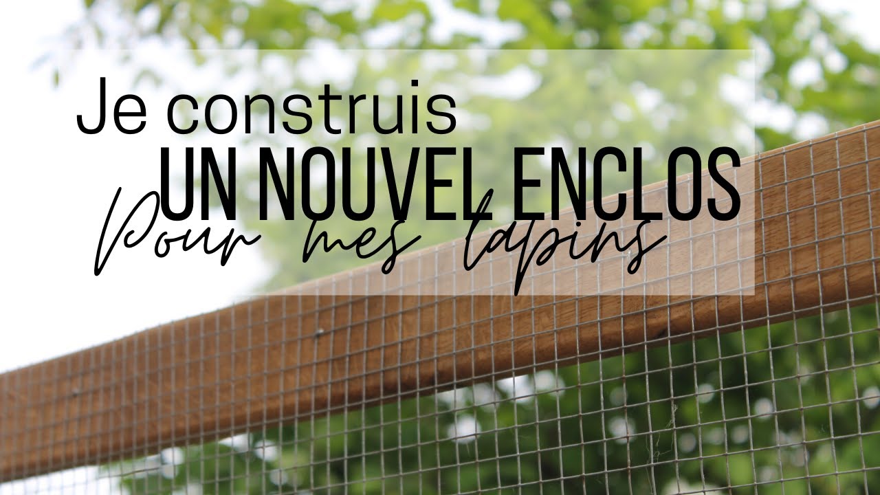 Construction d'un enclos pour mes lapins