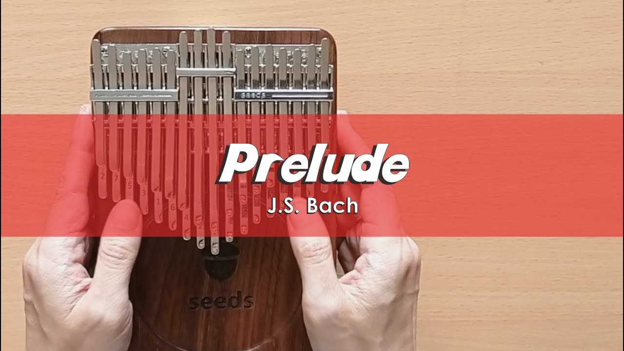 PRELUDE (J.S. Bach) | Seeds 34 Keys Chromatic Kalimba Cover With Number & Letter Notations