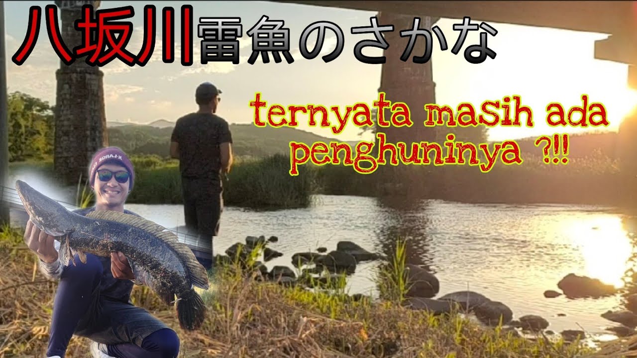 Casting Gabus Raigyo diJepang PART2 !!!