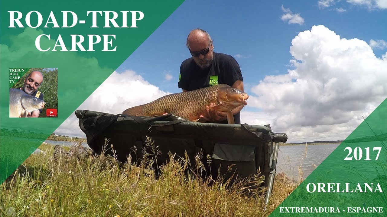 Road-Trip Carpe &agrave; Orellana (Espagne)