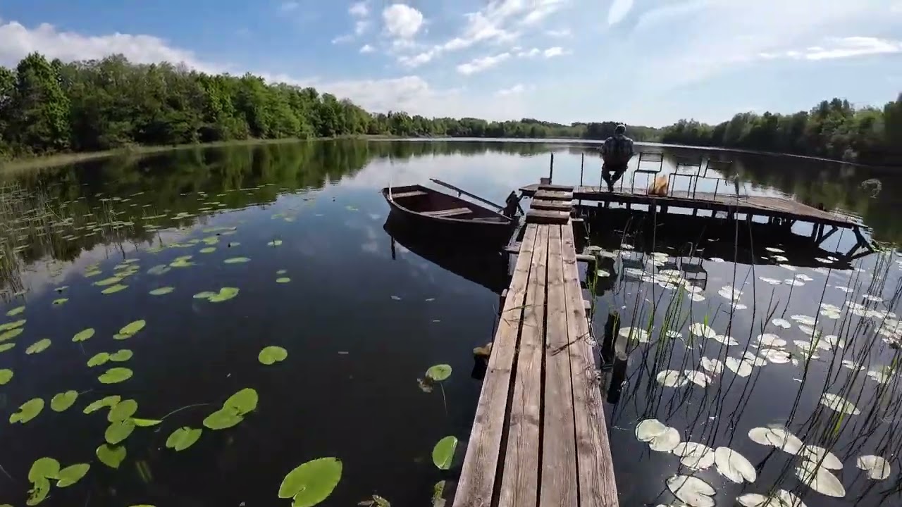 Vasara žaliavo,Vasara žydėjo