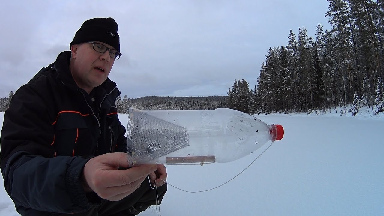 Fånga kvidd på vintern ??