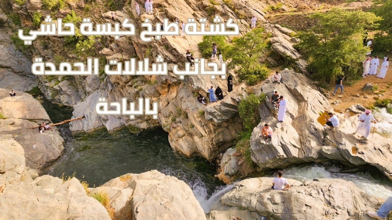 كشتة طبخ كبسة لحم حاشي باستخدام قدر الضغط.. عند شلالات الحمدة بالباحة