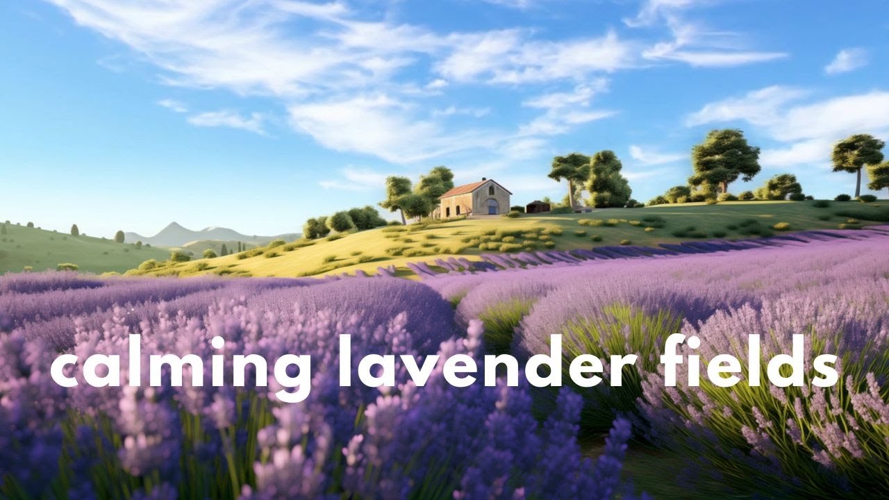 Peaceful Spring Ambience 🦋ㅣBlooming Lavender Fields and Calming Nature Sounds of Birds and Crickets