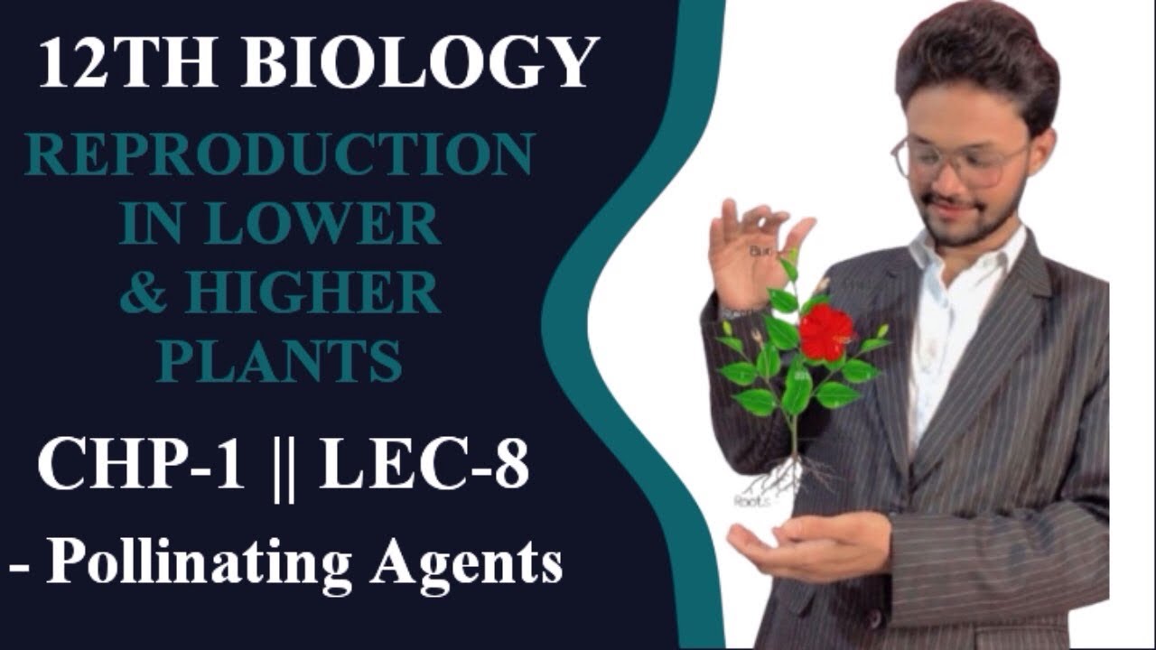 12TH BIOLOGY || REPRODUCTION IN LOWER AND HIGHER PLANTS || CHP-1 || LEC-08 || MAHARASHTRA BOARD 