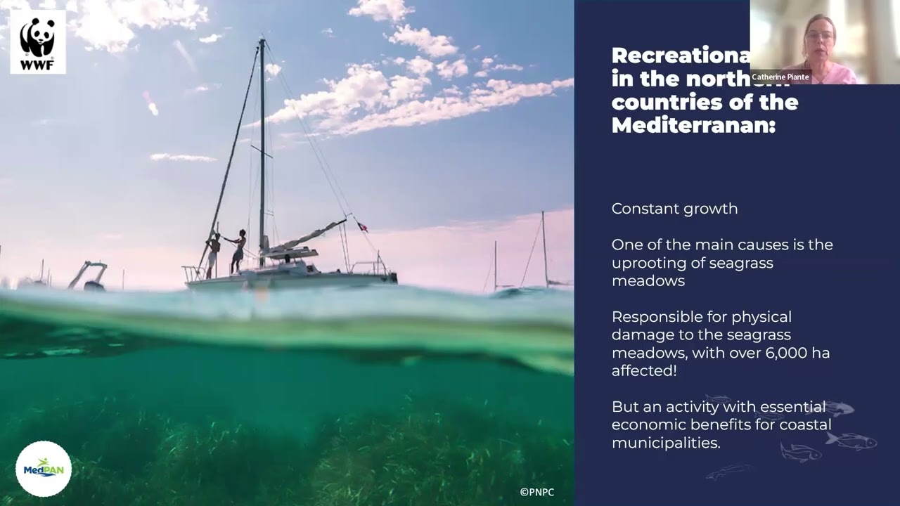 Intro webinar to the Eco-mooring areas online training
