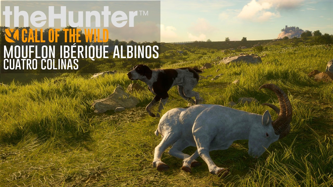 theHunter: Mouflon Ibérique Albinos - Cuatro Colinas